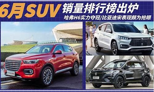 6月suv销量排行榜_6月SuV销量排行榜2023